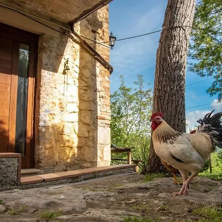 Il Rifugio Del Cacciatore / The Hunter's Shelter Hébergement de vacances Pretoro
