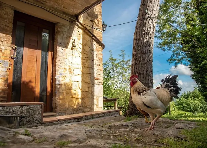Il Rifugio Del Cacciatore / The Hunter's Shelter בית נופש פרטורו